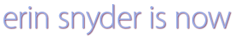 erin snyder is now